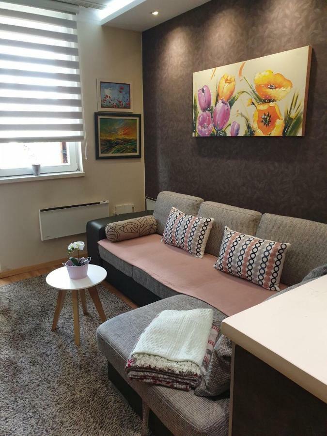 Apartment Marija- Kopaonik Centar Екстериор снимка